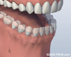 Oral Surgeon TX 77517